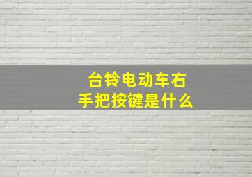 台铃电动车右手把按键是什么