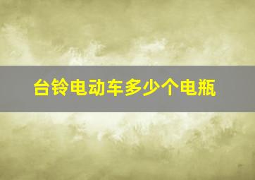 台铃电动车多少个电瓶