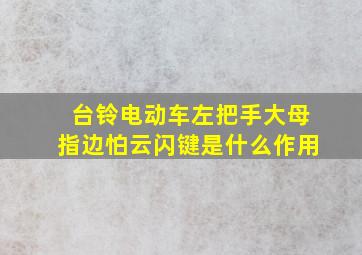 台铃电动车左把手大母指边怕云闪键是什么作用