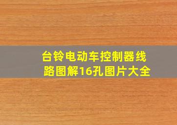 台铃电动车控制器线路图解16孔图片大全