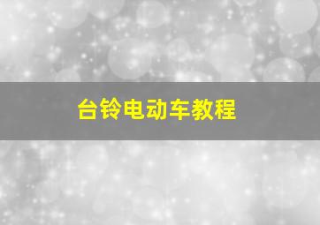 台铃电动车教程