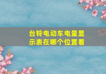 台铃电动车电量显示表在哪个位置看