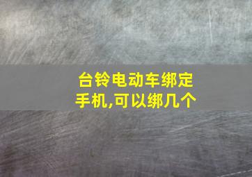 台铃电动车绑定手机,可以绑几个