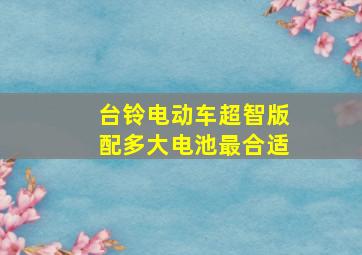 台铃电动车超智版配多大电池最合适