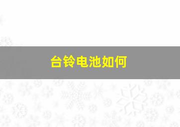 台铃电池如何