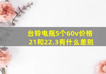 台铃电瓶5个60v价格21和22.3有什么差别