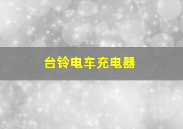 台铃电车充电器