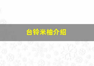 台铃米柚介绍