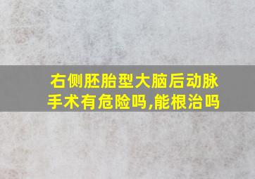 右侧胚胎型大脑后动脉手术有危险吗,能根治吗