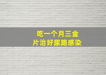 吃一个月三金片治好尿路感染