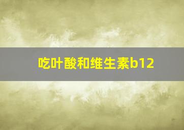 吃叶酸和维生素b12