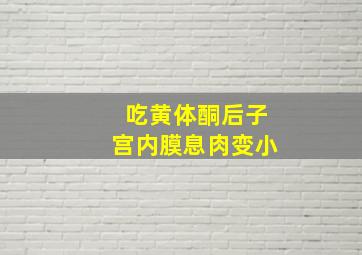 吃黄体酮后子宫内膜息肉变小