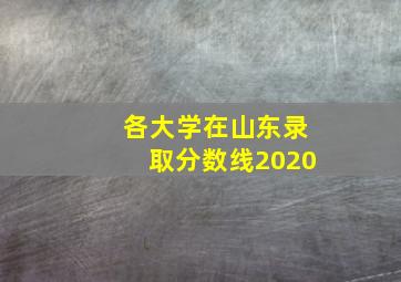 各大学在山东录取分数线2020