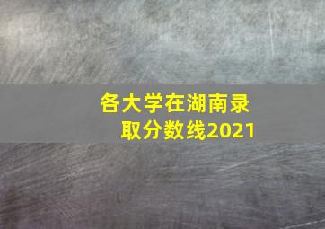 各大学在湖南录取分数线2021