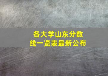 各大学山东分数线一览表最新公布