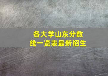 各大学山东分数线一览表最新招生