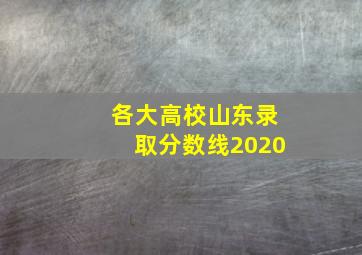 各大高校山东录取分数线2020