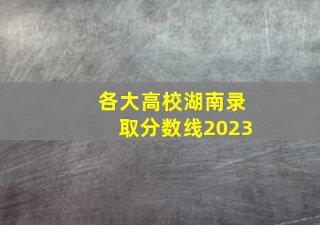 各大高校湖南录取分数线2023