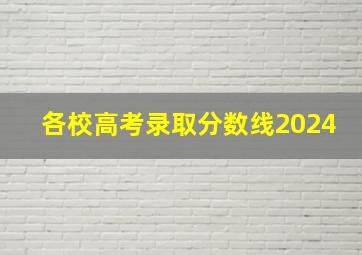 各校高考录取分数线2024