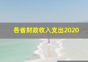 各省财政收入支出2020