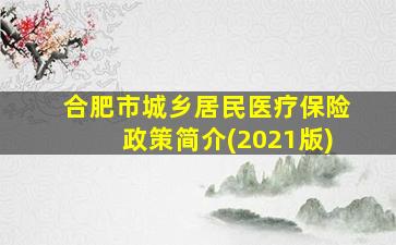 合肥市城乡居民医疗保险政策简介(2021版)