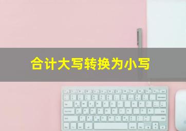 合计大写转换为小写