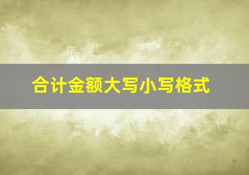 合计金额大写小写格式