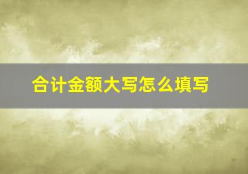 合计金额大写怎么填写