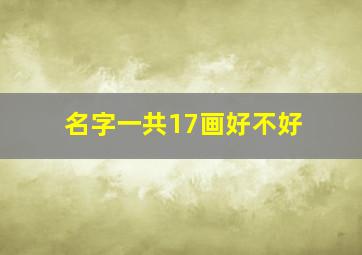 名字一共17画好不好