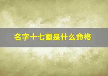 名字十七画是什么命格