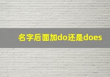 名字后面加do还是does