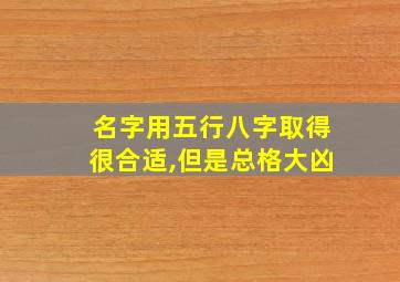 名字用五行八字取得很合适,但是总格大凶