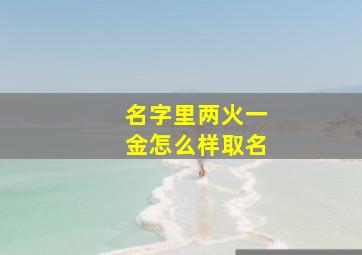 名字里两火一金怎么样取名