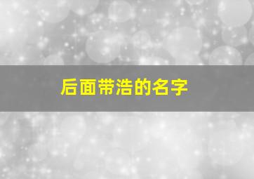 后面带浩的名字