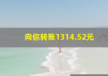 向你转账1314.52元