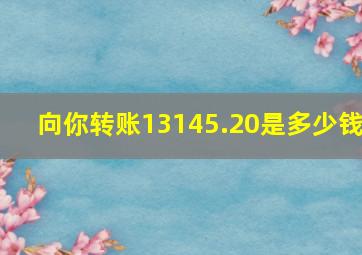 向你转账13145.20是多少钱