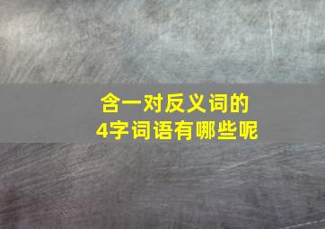 含一对反义词的4字词语有哪些呢