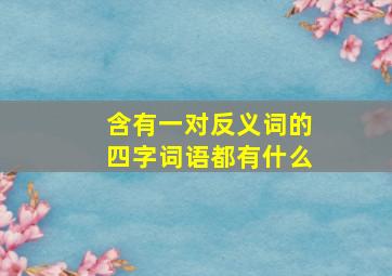 含有一对反义词的四字词语都有什么