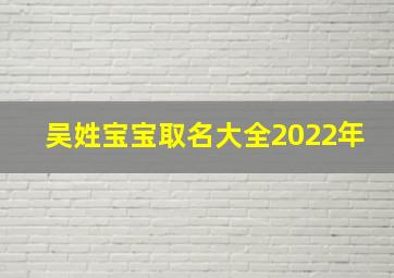 吴姓宝宝取名大全2022年