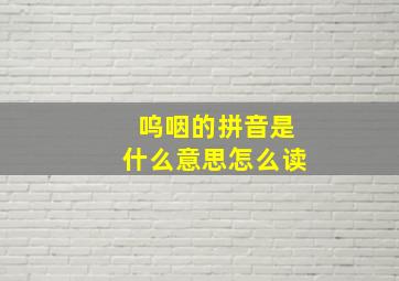 呜咽的拼音是什么意思怎么读