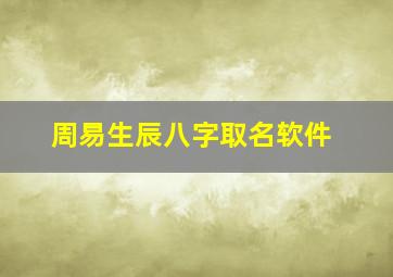 周易生辰八字取名软件