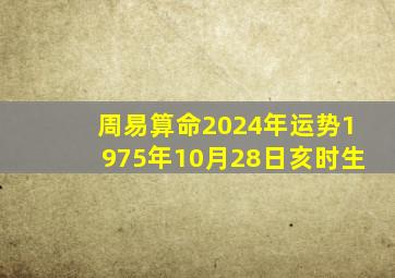 周易算命2024年运势1975年10月28日亥时生