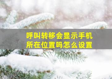 呼叫转移会显示手机所在位置吗怎么设置