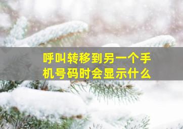 呼叫转移到另一个手机号码时会显示什么