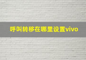 呼叫转移在哪里设置vivo