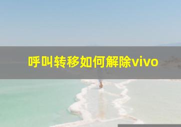 呼叫转移如何解除vivo