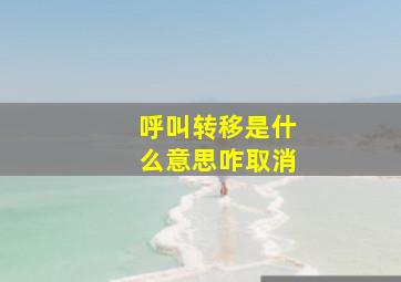 呼叫转移是什么意思咋取消