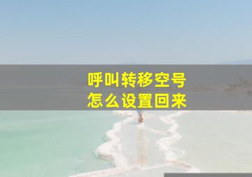 呼叫转移空号怎么设置回来