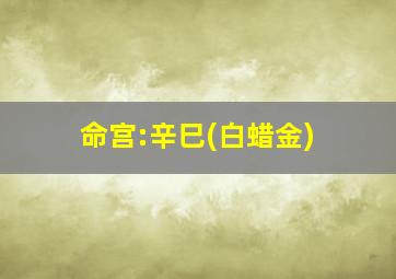 命宫:辛巳(白蜡金)