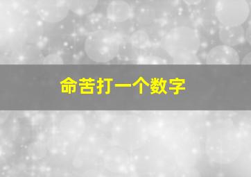 命苦打一个数字